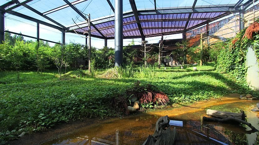 🌳 따오기의 숲 공원 (토키노모리 코엔)